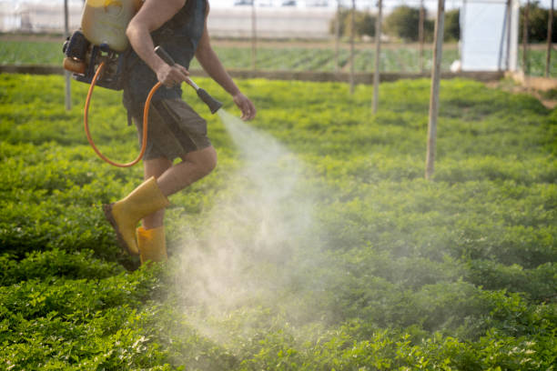 Best Pest Control for Homes  in Fort Morgan, CO